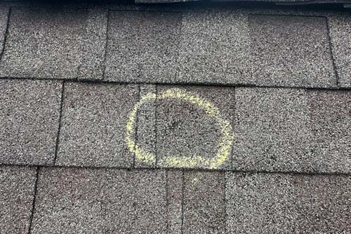 Close up of damaged shingle that is circled.
