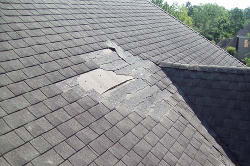 Wind damaged roof. Shingles torn up.
